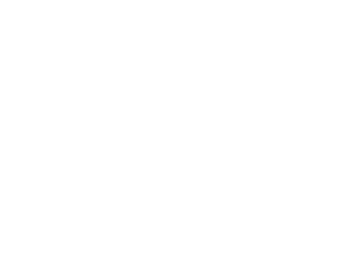 World Government Summit